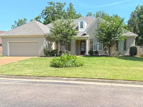 8678 Ashbury Oak Dr, Cordova, TN 38018