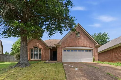 1491 Applingwood Cv, Cordova, TN 38016