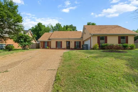 6561 Falling Tree Dr, Memphis, TN 38141