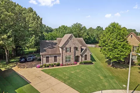 View/Area - 141 Lower Fields Ln, Collierville, TN 38017 photo 2 of 2