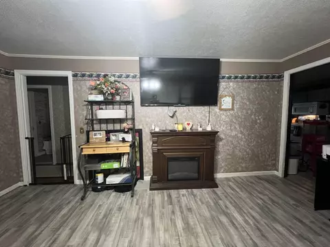 Living - 329 Mayflower Rd, Ramer, TN 38367 photo 3 of 3