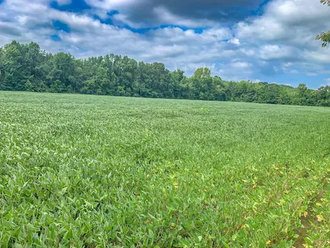 Other - 2029 Chewalla Rd, Ramer, TN 38367 photo 4 of 10