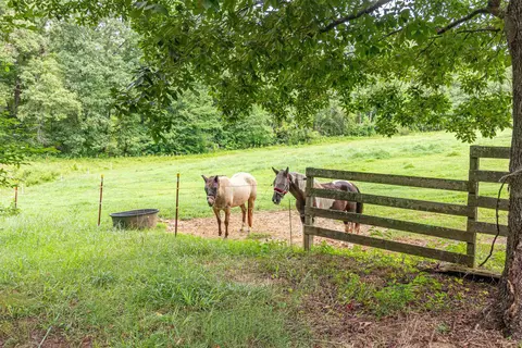 Exterior - 2029 Chewalla Rd, Ramer, TN 38367 photo 3 of 11