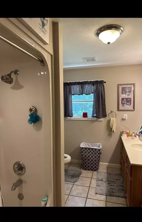 Bath - 220 Wayne Elam Rd, Ramer, TN 38367 photo 3 of 4