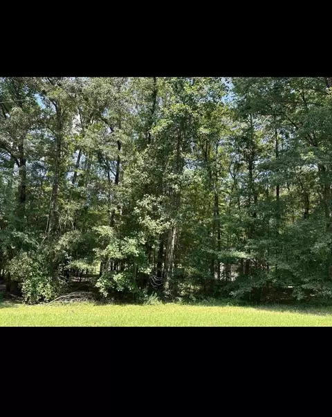 Other - 220 Wayne Elam Rd, Ramer, TN 38367 photo 10 of 13