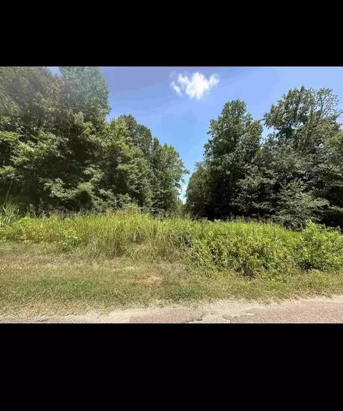 Other - 220 Wayne Elam Rd, Ramer, TN 38367 photo 8 of 13