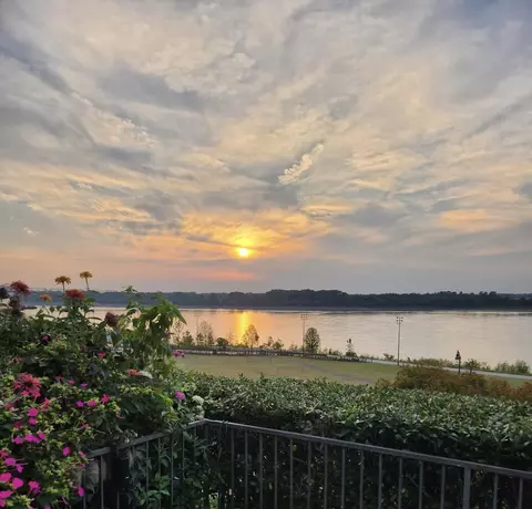 View/Area - 367 Riverbluff Pl #367, Memphis, TN 38103 photo 6 of 11