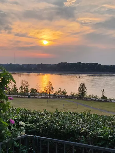 View/Area - 367 Riverbluff Pl #367, Memphis, TN 38103 photo 7 of 11