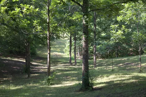241 Mississippi 310 Rd, Waterford, MS 38685