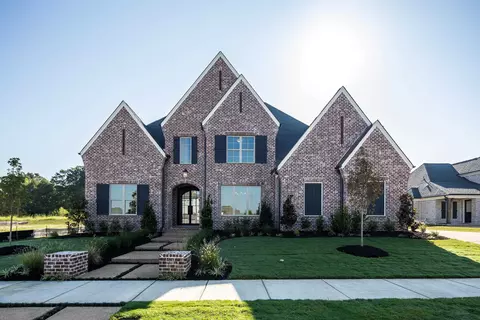 1154 Pipit Dr, Collierville, TN 38017