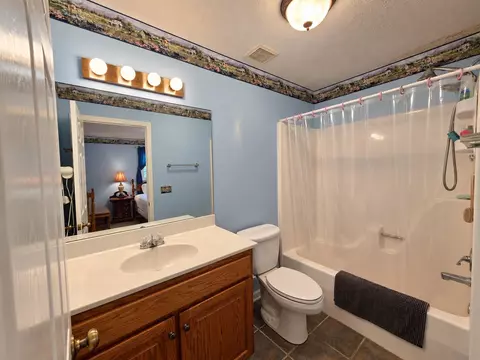 Bath - 55 View Point Cv, Counce, TN 38326 photo 2 of 3