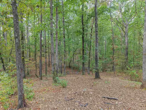 Exterior - 3532 Ramer Selmer Rd, Ramer, TN 38367 photo 11 of 12