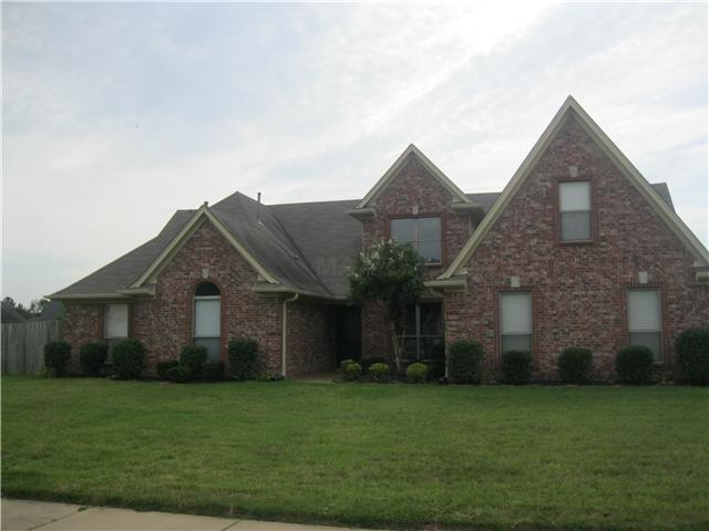 3531 Wolf Shadow Ln, Memphis, TN 38133 photo 1