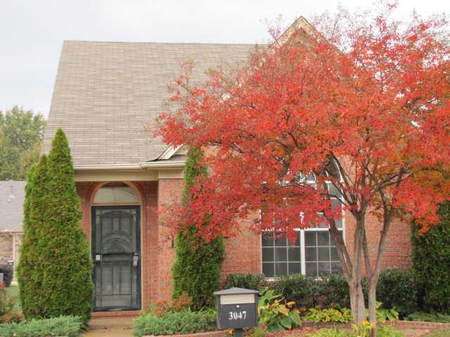 3047 Ole Bartlett Ct, Memphis, TN 38134 photo 1
