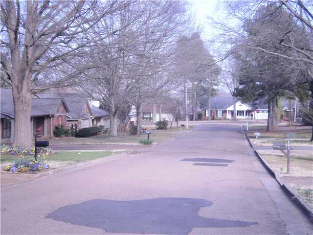 479 Duscoe St, Collierville, TN 38017 photo 3