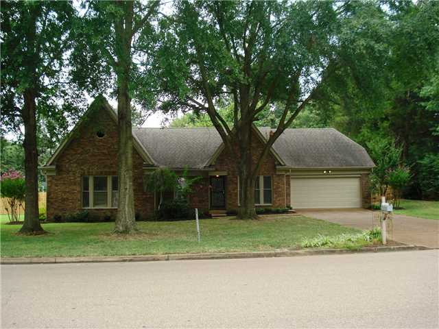 217 E White Rd, Collierville, TN 38017 photo 1