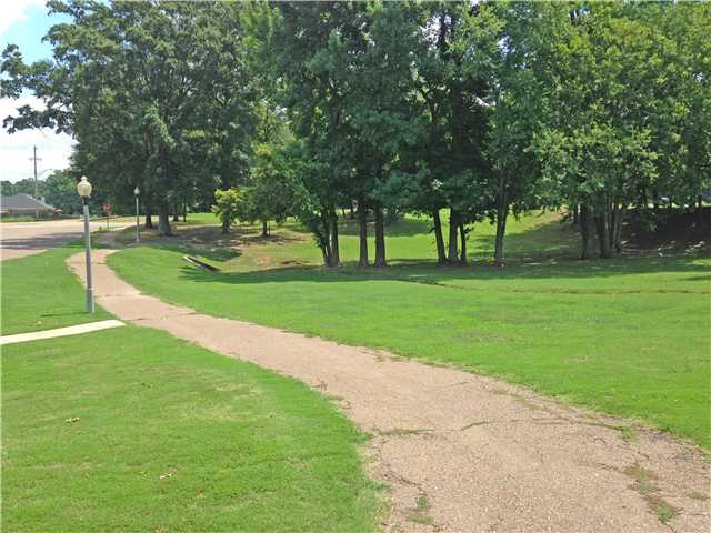 5026 Springtree Dr, Arlington, TN 38002 photo 20