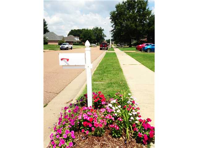 5026 Springtree Dr, Arlington, TN 38002 photo 18
