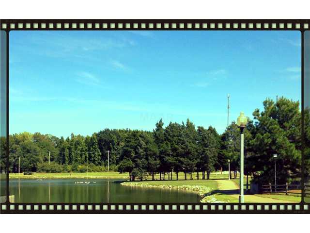 5026 Springtree Dr, Arlington, TN 38002 photo 24