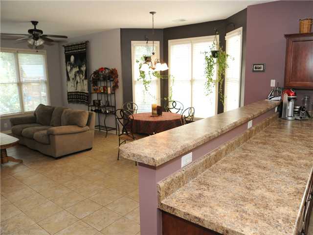 4972 Avi Dr, Arlington, TN 38002 photo 10