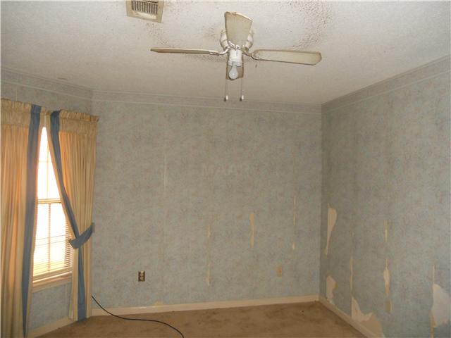 6345 Kirby Downs Dr, Memphis, TN 38115 photo 9