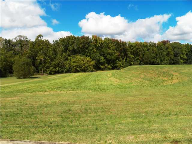 798 Reed Cir, Drummonds, TN 38023 photo 7
