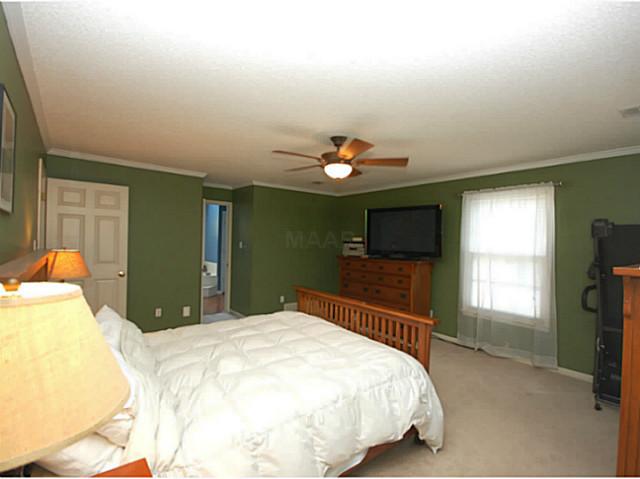 560 King Oaks Cv, Collierville, TN 38017 photo 11