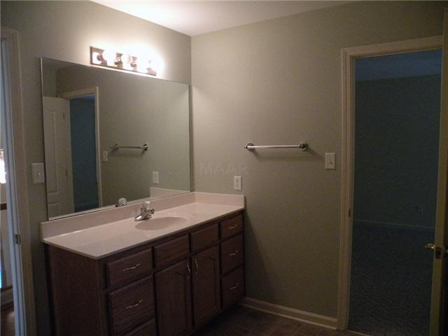 742 Evans View Ln, Collierville, TN 38017 photo 13