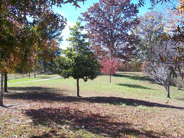 616 Unity Church Rd, Ramer, TN 38367 photo 19