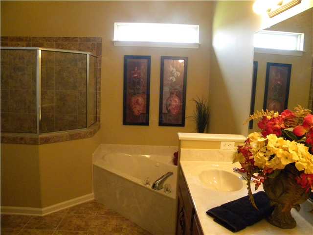 5029 Blue Lagoon Loop, Arlington, TN 38002 photo 7