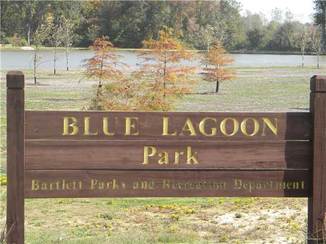 5029 Blue Lagoon Loop, Arlington, TN 38002 photo 8
