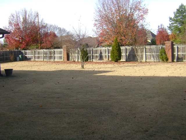 1154 Willow Bend Cv, Collierville, TN 38017 photo 15