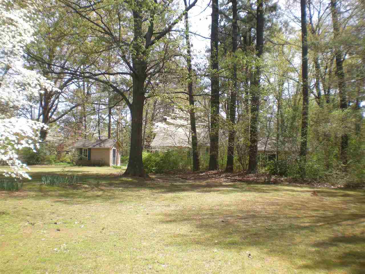 6120 Elmore Rd, Bartlett, TN 38134 photo 20