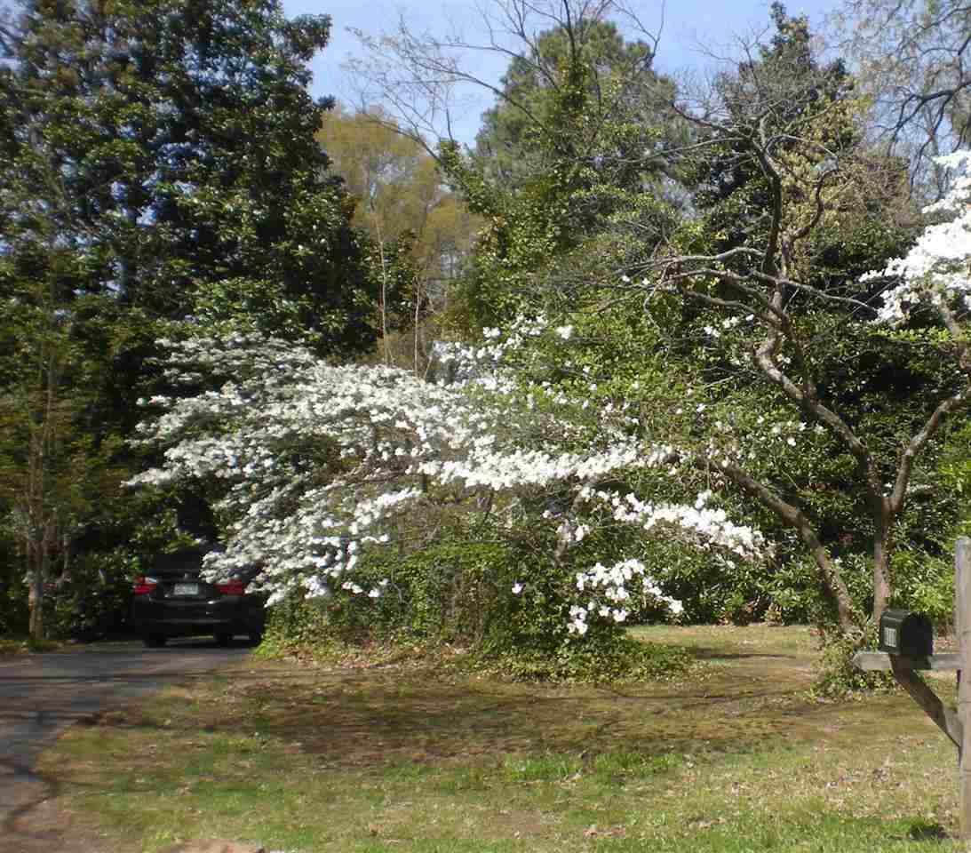 6120 Elmore Rd, Bartlett, TN 38134 photo 18