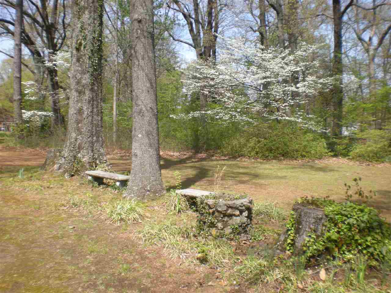 6120 Elmore Rd, Bartlett, TN 38134 photo 19
