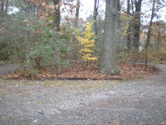 6120 Elmore Rd, Bartlett, TN 38134 photo 15