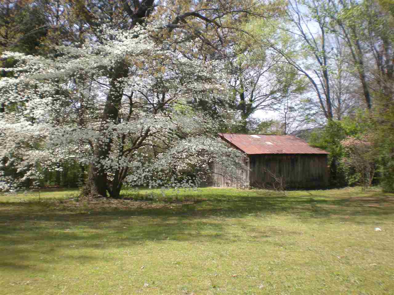 6120 Elmore Rd, Bartlett, TN 38134 photo 24