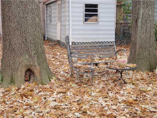 4627 Given Ave, Memphis, TN 38122 photo 16