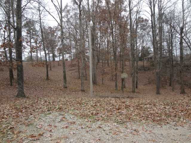 3342 Ramer Selmer Rd, Ramer, TN 38367 photo 9