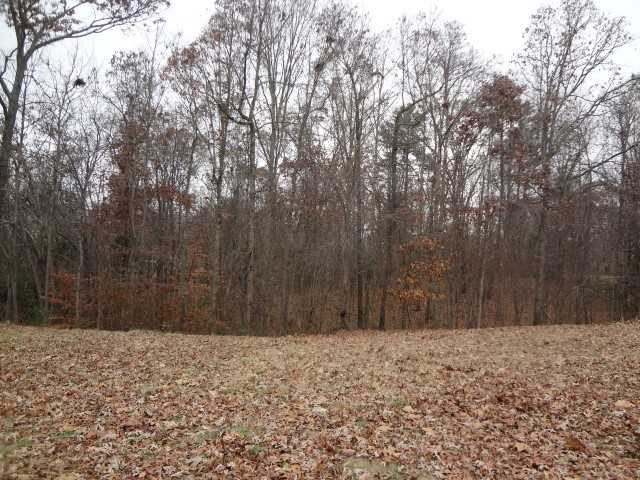 3342 Ramer Selmer Rd, Ramer, TN 38367 photo 10