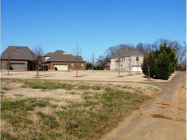 383 Shea Rd, Collierville, TN 38017 photo 19