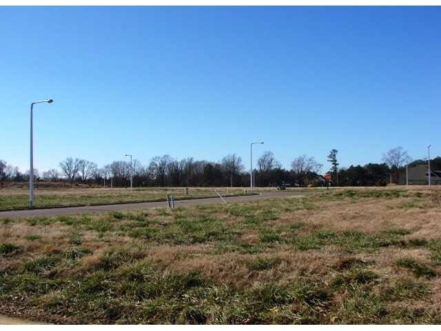 383 Shea Rd, Collierville, TN 38017 photo 20