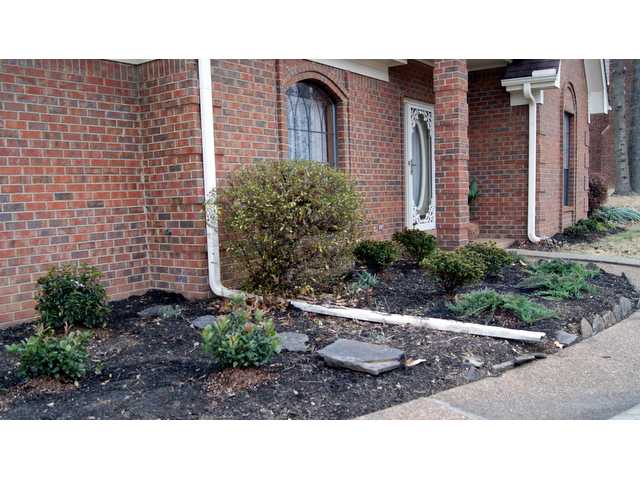 6502 Star Valley Dr, Bartlett, TN 38134 photo 14
