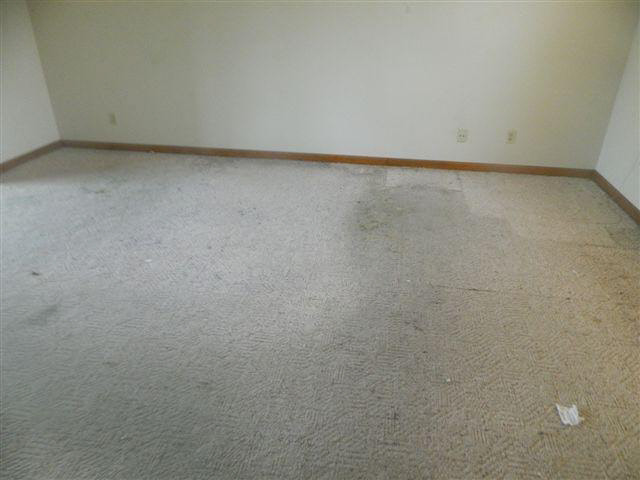 160 Overton Loop, Toone, TN 38381 photo 4