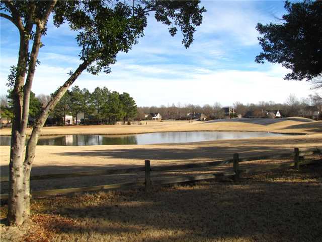 2682 Dibrell Trail Dr, Collierville, TN 38017 photo 7