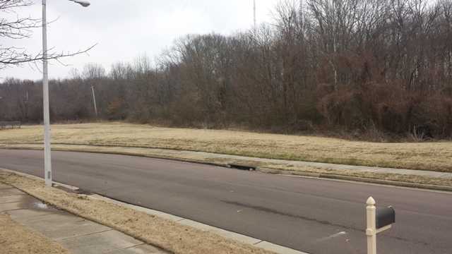 7305 Gail Dr, Bartlett, TN 38133 photo 24