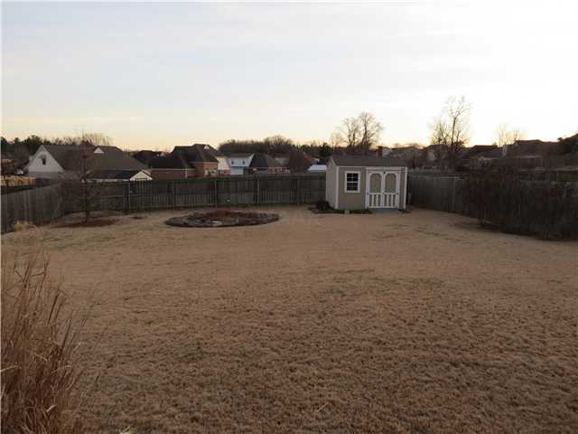 6463 Piney River Rd, Bartlett, TN 38135 photo 17