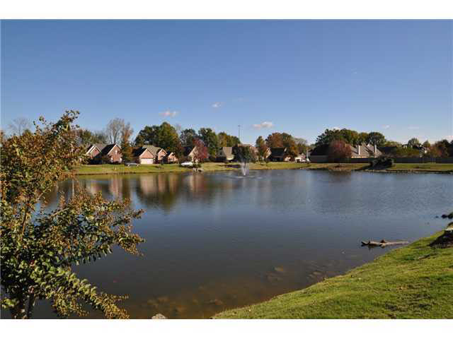 1371 River Ridge Dr, Collierville, TN 38017 photo 21