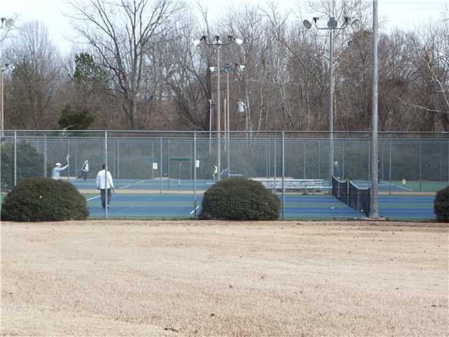 970 Greencliff Rd, Collierville, TN 38017 photo 22