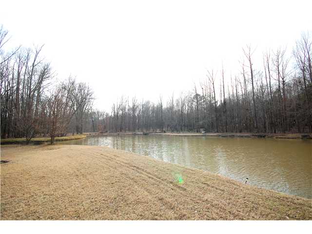 4752 Oak Rd, Arlington, TN 38002 photo 4